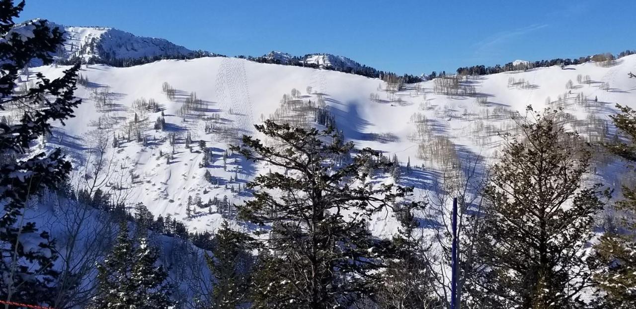 Stunning At Solitude, Steps From Chair Lift, East #103 Brighton Exterior foto